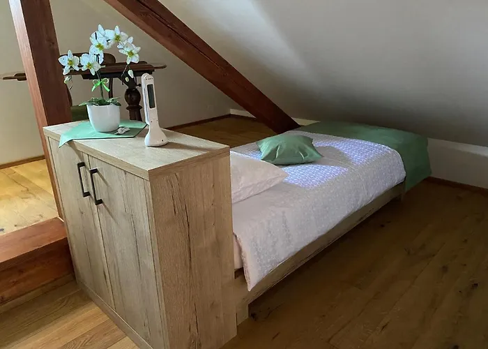 Frühstückspension Ruska Daca 3*